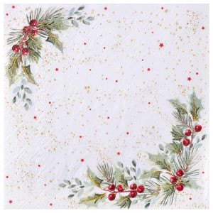 Ruedelafete Serviette Houx étoilé x10