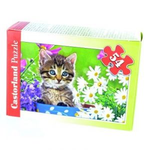 Image de Castorland Chaton au milieu des fleurs - Puzzle 54 mini pièces