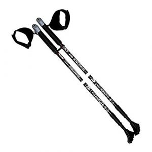 Bâton de marche nordique NILS NW608