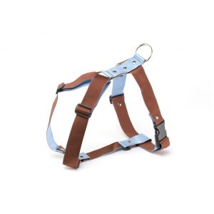Alter Ego Harnais pour chien bleu & marron (65/100cm x 40mm)