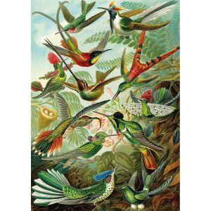 KS Games Puzzle 1500 pièces : Colibris