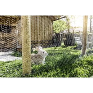 Windhager Maille hexagonale galva 13x13mm rlx 0,5x10m