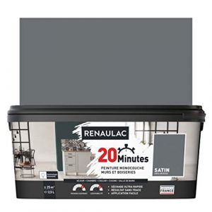 Image de Renaulac Peinture intérieur monocouche 20 Minutes murs et boiseries - 2,5L - 25 m² - Gris ardoise Satin