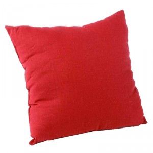 Image de Coussin déhoussable (38 x 38 cm)