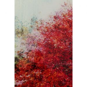 Image de Kare Design Karedesign Tableau en verre Automne 80x80cm