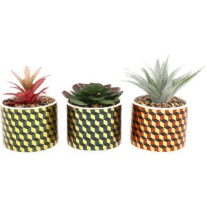 Jardindeco Plantes succulentes artificielles Cubic (Lot de 3)