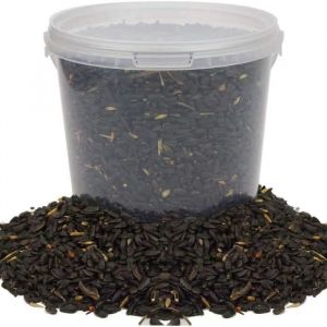 Graines de tournesol noir BusyBeaks - nourriture riche en huile pour oiseaux sauvages de jardin occupés 2.5L
