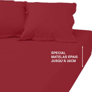 Drap Housse Grand Bonnet Percale De Coton TERTIO - Bordeaux Rouge vin