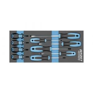 Hazet Jeu de tournevis 163-516/10 10 pi&egrave;ces 1 set Q219802