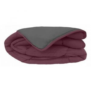 Image de Couette chaude Bicolore Gamme Microfibre "Cocoon Non feu - Toison d'or - Cocoon Prune Acier - 220 x 240 cm pour lit 2 places