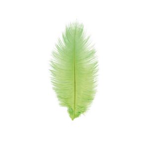 Ruedelafete Sachet de 2 Plumes d'Autruche 30-35cm, Vert
