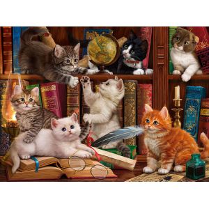 Sunsout Puzzle Chatons dans la Librairie