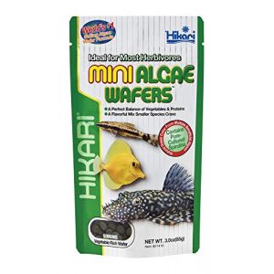 Hikari Nourriture poisson tropicaux Mini Algae Wafers 85 gr