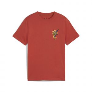 Puma T-shirt enfant Road To Unity Graphic