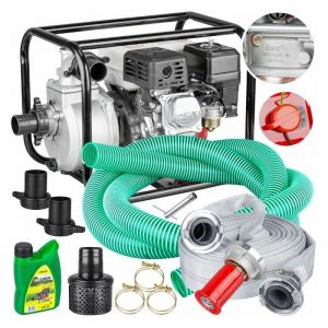 Viva Motopompe &agrave; combustion Lex 6500 W 600 l-h