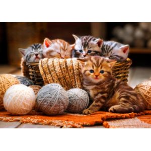 Bluebird Puzzle Puzzle Kittens in Basket