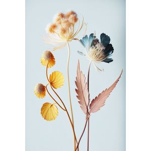 Ceanothe Tableau sur toile fleur colorée 30x45 cm - Impression sur Toile Murale Décorative - Image imprimée en hd sur Toile - Toile sur Châssis en