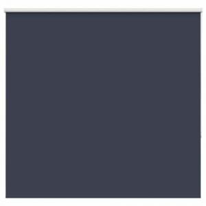 VidaXL Store enrouleur occultant largeur du tissu 151,6 cm polyester