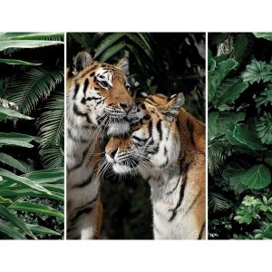 Ceanothe Triptyque sur toile couple de tigres 125x97 cm