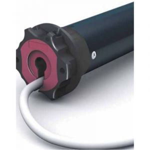 Moteur Ø 45 mm - CHERUBINI - ROLL