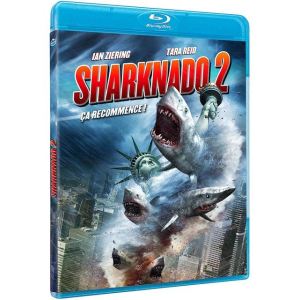 Image de Sharknado 2