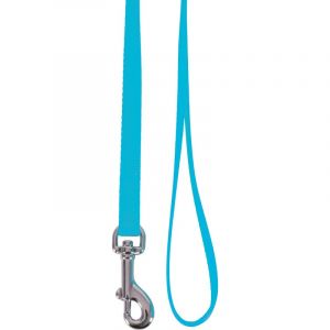 Zolux Laisse nylon - Turquoise