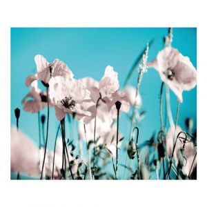 AG ART Poppies on blue, photo murale intissée, 360x270 cm, 4 parts