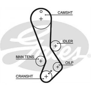 Image de Gates Courroie de distribution 5282XS