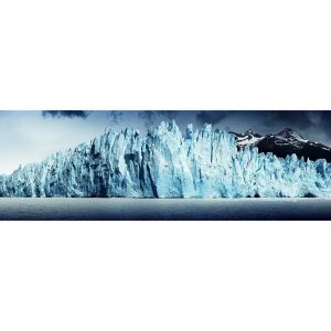 Ceanothe Tableau sur toile beauté du monde 45x135 cm