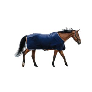 Riding World Chemise s&eacute;chante pour cheval