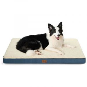 Cama Perro Ortopédica Azul - Colchón Lavable con espuma 51x76x7.6 cm Offre exclusive