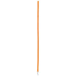 Zolux Laisse nylon pour chien