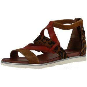 Mjus STEFANIA Marron - Taille 36
