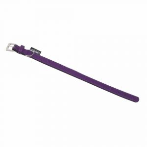Collier pour chien Nobby Pet South