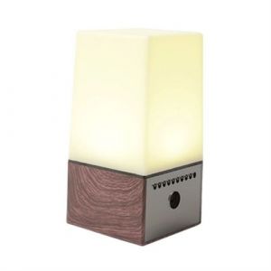 Ebiz Veilleuse Lampe Haut Parleur cam&eacute;ra Espion WiFi HD 1080P Microphone