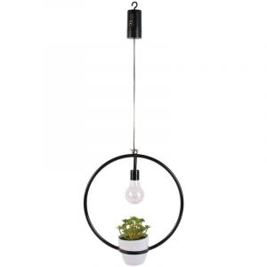 Image de The home deco factory Suspension LED décorative avec plante Garden - H. 35 cm - Diam. 30 x 32 - Noir