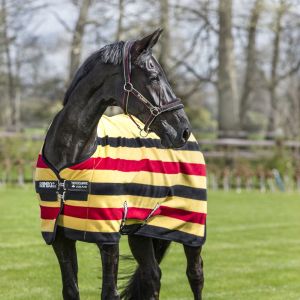 Polaire pour cheval Horseware Rambo Deluxe