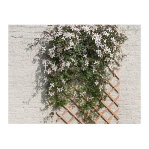 Image de Nature Palissade de jardin 100 x 200 cm Bois l FSC 6041703