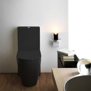 Kartell LAUFEN Cuvette au sol, H8243370200001,