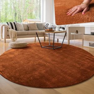 Paco Home - Tapis de salon Unicolore Lavable Pile courte et douce Cuivre, 80 cm rond
