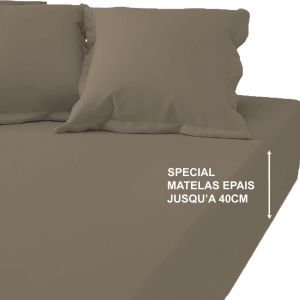 Drap-housse grand bonnet XL polycoton Tertio - Taupe