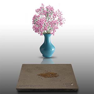 150 graines Fleurs à semer - Le Grenier d' Abondance - GYPSOPHILE Elégant rose - Gypsophila