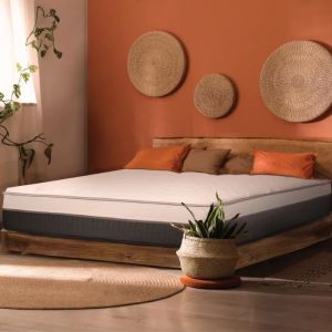 Image de Matelas Double 140x200 M&eacute;moire De Forme hybride Mousse D'eau