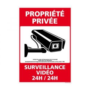 Panneau Sécurité Propriété Privée - Surveillance Vidéo 24h/24, Propriété Privée sous alarme, loi protection de la vie privée - Adhésif - 210 x 300 mm