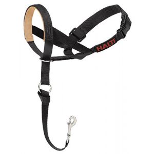 Image de Halti Licol Educatif Anti-Traction Dressage pour Chien Taille 5 Noir Rembourré