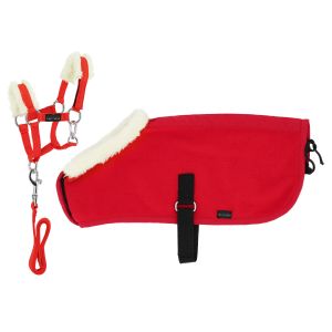 Licol pour cheval avec couverture pour cheval Equithème Pony Academy