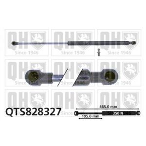 Quinton Hazell Vérin de coffre QTS828327
