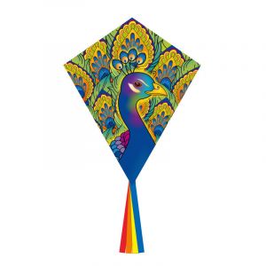 HQ Kites Ecoline Cerf-volant Eddy Peacock Envergure (détails) 580 mm Force du vent supportée 2 - 5 bft