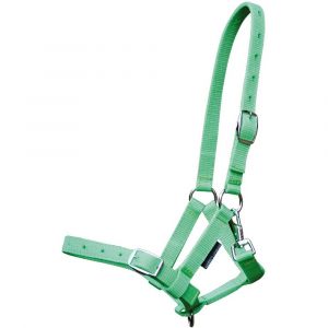 Harry's Horse Licol pour poulain