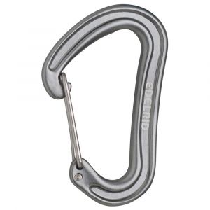 Edelrid Nineteen G II - Mousqueton automatique gris